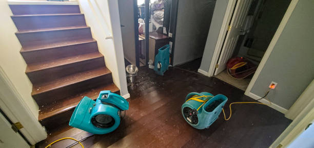 Best Flood damage cleanup  in Marion, KS