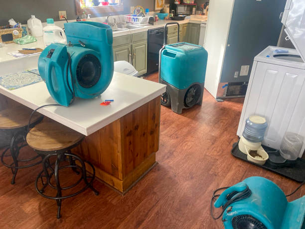 Best Flooded house restoration  in Marion, KS