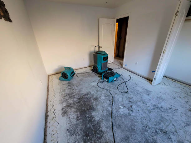 Best Emergency water damage restoration  in Marion, KS