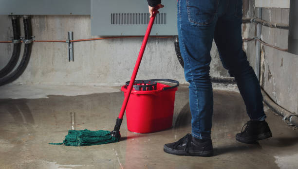 Best 24-hour water damage restoration  in Marion, KS