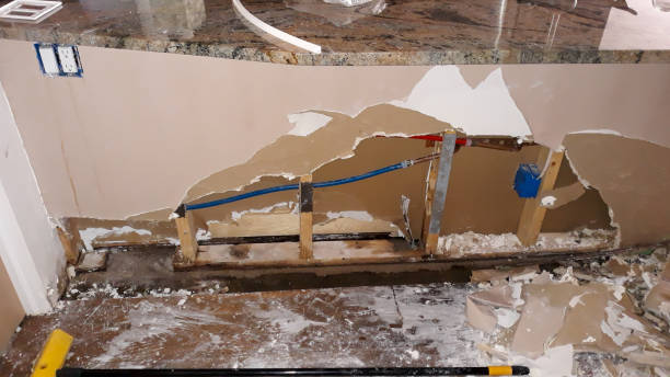 Best Flood restoration services  in Marion, KS