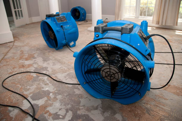 Best Local water damage restoration  in Marion, KS