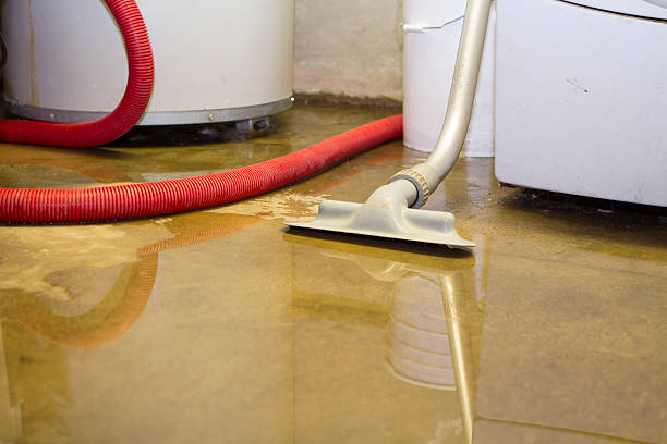 Best Carpet water damage restoration  in Marion, KS