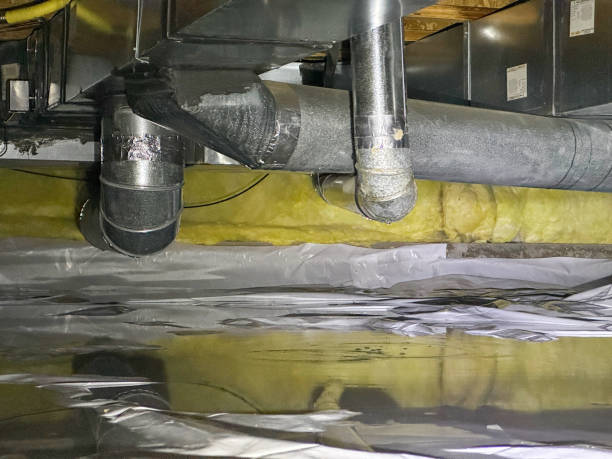 Best Basement water damage restoration  in Marion, KS