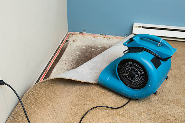 Best Water damage mitigation services  in Marion, KS